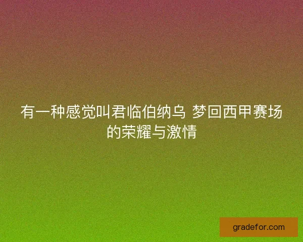 有一种感觉叫君临伯纳乌 梦回西甲赛场的荣耀与激情