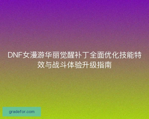 DNF女漫游华丽觉醒补丁全面优化技能特效与战斗体验升级指南